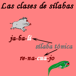 clases01.jpg