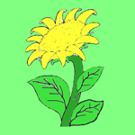 girasol.jpg