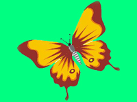 mariposa.jpg
