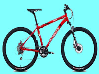bicicleta.jpg