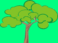 arbol.jpg