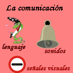 comunicacion01.jpg