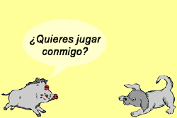 comunicacion01 comunicacion01.jpg