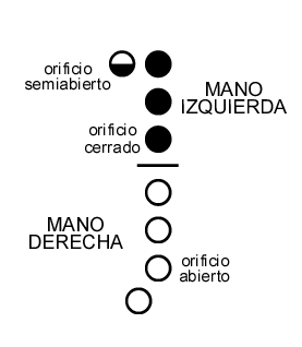 Grfico de digitacin